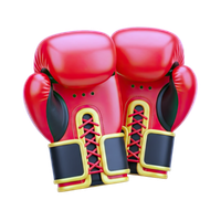 Ícone MMA