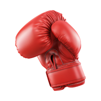 Ícone UFC